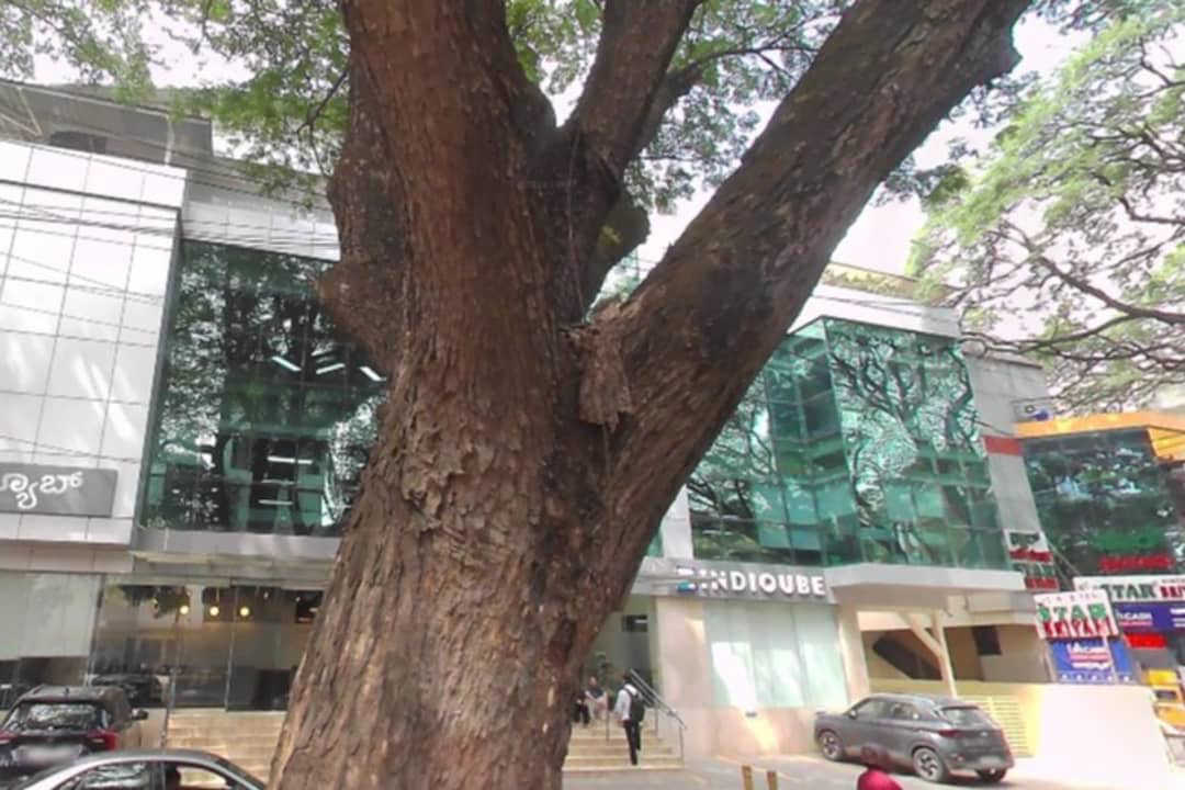 IndiQube - Opal, Indiranagar